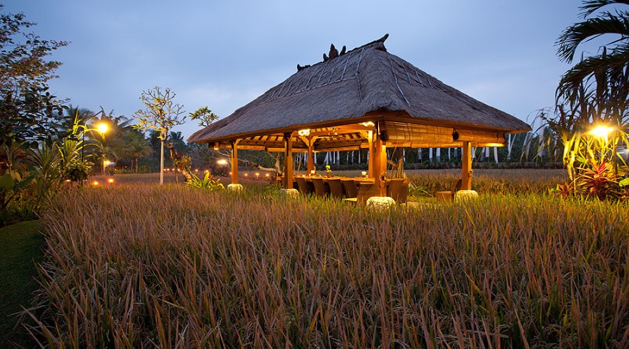 Penawaran Terbaik, Jual Voucher Murah Makan Spesial di Bebek Tepi Sawah Ubud, Beli Online Lebih Hemat!